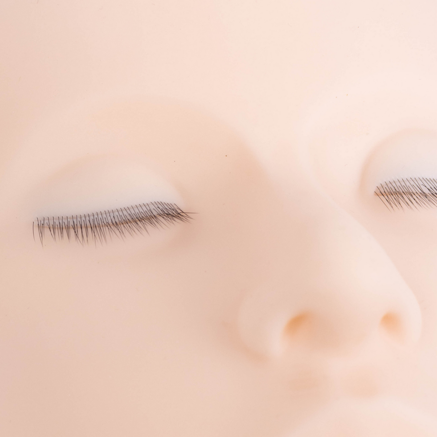 Realistic Mannequin Head