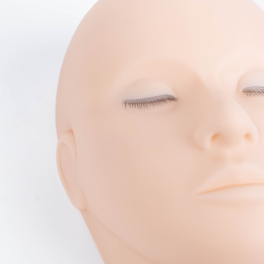 Realistic Mannequin Head